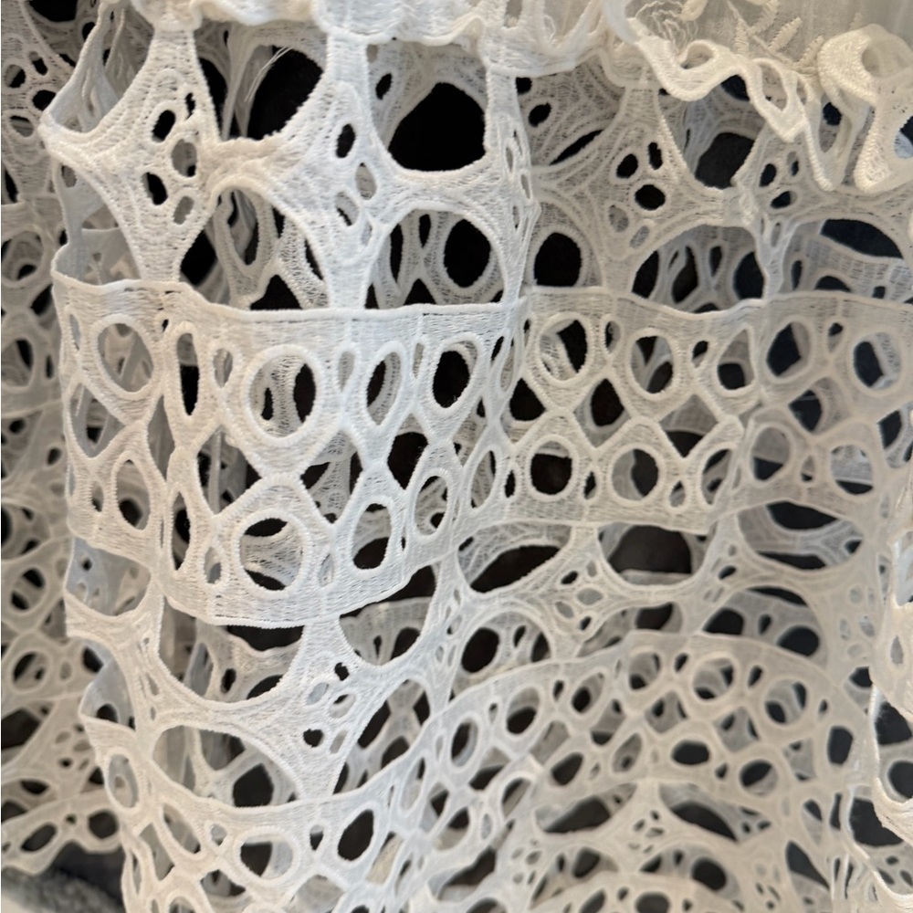 Boston Proper White Lace Long Sleeve Dress - Picture 10 of 10
